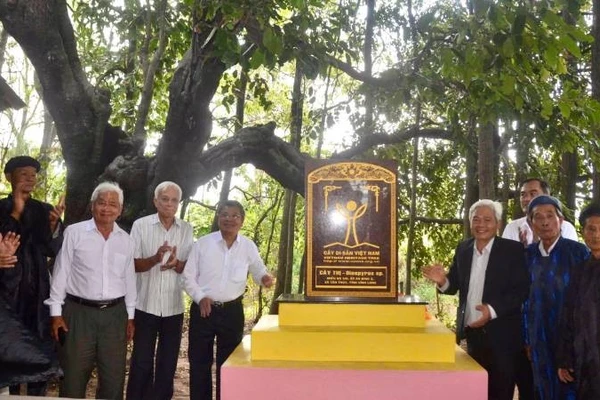 Cây thị tại xã Tân Thủy (tỉnh Vĩnh Long) được công nhận là Cây Di sản Việt Nam.