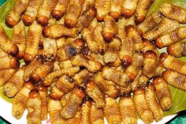Tỉnh Vĩnh Long ra văn bản nghiêm cấm nhân nuôi, phát tán đuông dừa trái phép.