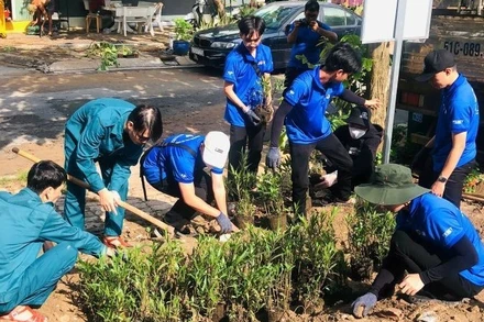 Các tình nguyện viên trồng hoa cải tạo bãi rác thành công viên tại Khu phố 46, phường Tăng Nhơn Phú.