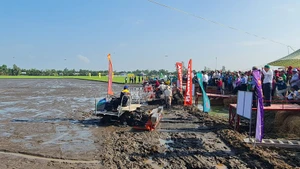 Phát động triển khai đề án Phát triển bền vững 1 triệu ha lúa chất lượng cao vùng đồng bằng sông Cửu Long 
