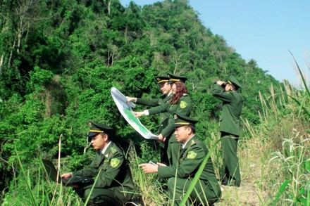 Cán bộ ngành lâm nghiệp và kiểm lâm ứng dụng chuyển đổi số trong quản lý, bảo vệ rừng.