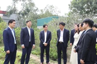 Thứ trưởng Thường trực Bộ Y tế Vũ Mạnh Hà và Phó Bí thư Thường trực Tỉnh ủy Thanh Hóa Nguyễn Hồng Phong cùng đoàn công tác thăm vườn ươm của Trung tâm Nghiên cứu dược liệu Bắc Trung Bộ.