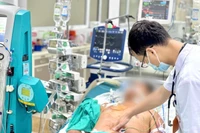 Bệnh nhân mắc liên cầu lợn điều trị tại Bệnh viện Bệnh Nhiệt đới Trung ương. 