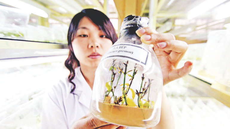 Lưu trữ cây con trong phòng chuyên dụng. thiet-ke-chua-co-ten-10.png