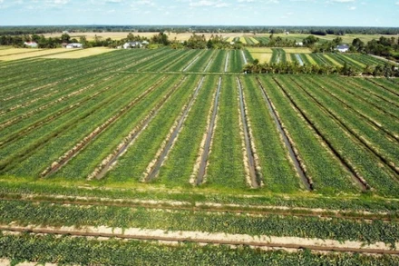 (Ảnh minh họa: TTXVN)