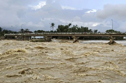 Lũ trên sông Cái Nha Trang sáng 4/12. (Ảnh minh họa)