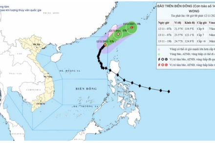 Bản đồ dự báo quỹ đạo và cường độ bão số 14 phát lúc 8 giờ ngày 12/11/2025. (Nguồn: Trung tâm Dự báo khí tượng thủy văn quốc gia)