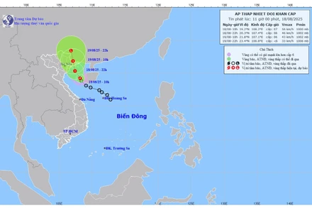 Bản đồ dự báo quỹ đạo và cường độ áp thấp nhiệt đới lúc 11 giờ ngày 18/8/2025. (Ảnh: Trung tâm Dự báo khí tượng thủy văn quốc gia)