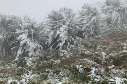 (Ảnh: Trung tâm Dự báo khí tượng thủy văn quốc gia)