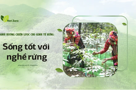 Bài 1: Sống tốt với nghề rừng