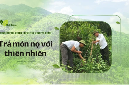 Bài 2: Trả món nợ với thiên nhiên