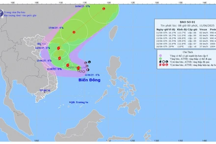 Bản đồ dự báo quỹ đạo và cường độ Bão số 1 lúc 8 giờ sáng 11/6. (Ảnh: Trung tâm Dự báo khí tượng thủy văn quốc gia)