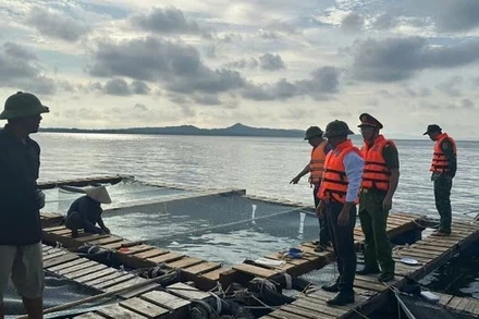 Lực lượng Công an và Bộ đội Biên phòng đặc khu Cô Tô (Quảng Ninh) hướng dẫn người dân gia cố lồng bè nuôi trồng trước khi bão số 9 đổ bộ. (Ảnh: QUANG THỌ)