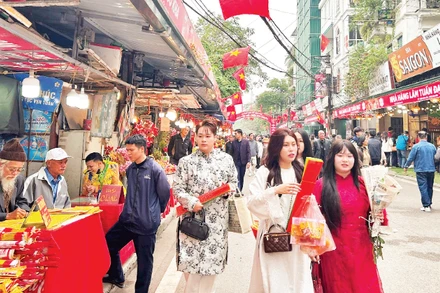 Thời tiết miền bắc ấm dần, lý tưởng cho người dân vui xuân. 