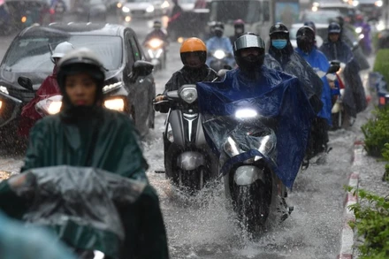 (Ảnh minh họa: THÀNH ĐẠT)