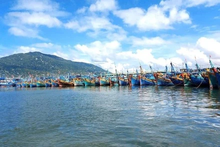 Tàu thuyền đánh cá được neo đậu an toàn tại cảng, tránh rủi ro khi bão số 13 đổ bộ. (Ảnh: VŨ TÂN)