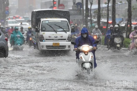 (Ảnh minh họa: THÀNH ĐẠT)