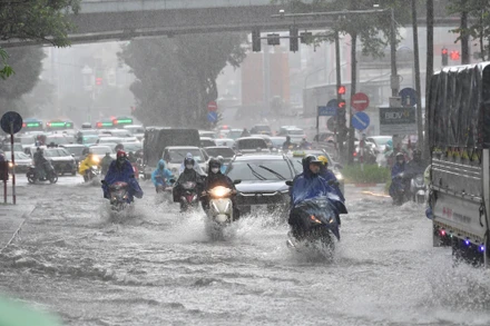 (Ảnh minh họa: THÀNH ĐẠT)