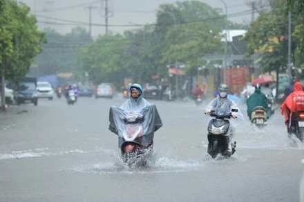 (Ảnh minh họa: THÀNH ĐẠT)