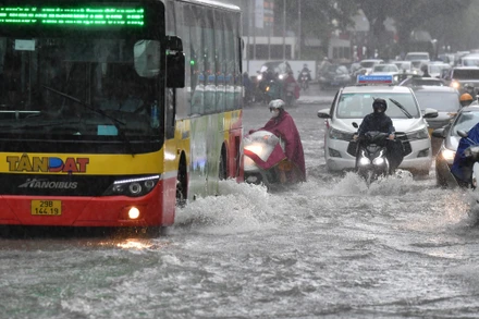 (Ảnh minh họa: THÀNH ĐẠT)