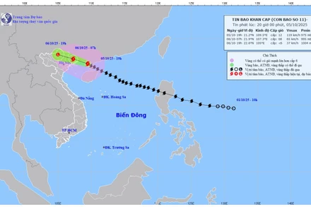 Bản đồ dự báo quỹ đạo và cường độ bão số 11 phát lúc 20 giờ tối 5/10/2025. (Nguồn: Trung tâm Dự báo khí tượng thủy văn quốc gia)