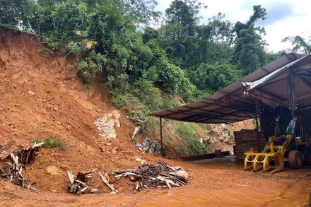 (Ảnh minh họa: KHÁNH TOÀN)