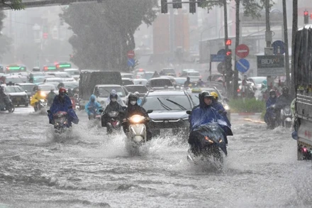 (Ảnh minh họa: THÀNH ĐẠT)