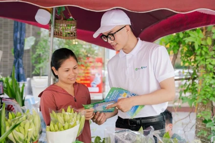 9Pay sẽ hỗ trợ chủ cửa hàng dùng Loa TingTing đăng ký chuyển đổi lên doanh nghiệp ngay trên ứng dụng.