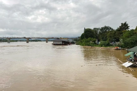 Nước trên sông Lô đoạn qua phường Minh Xuân, tỉnh Tuyên Quang vẫn đang tiếp tục dâng cao. (Ảnh: ĐỨC THẮNG)