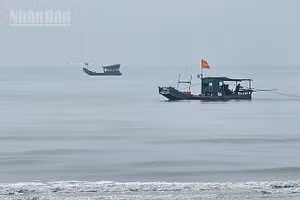 Phương tiện của ngư dân Thanh Hóa đánh bắt hải sản, cập bờ trong ngày. (Ảnh: MAI LUẬN)