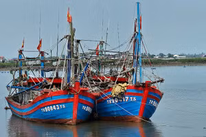 Phương tiện nghề cá neo đậu sâu trong lạch Ghép.