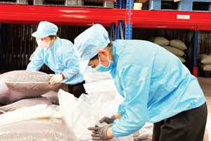 Đóng gói vỏ cà-phê đặc sản (trà cascara) xuất khẩu tại Công ty Simexco DakLak. (Ảnh: MINH ANH)