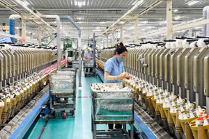 Sản xuất sợi xuất khẩu tại Công ty Sợi Phú Bài.