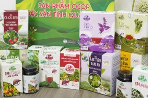 Các sản phẩm nông nghiệp hữu cơ của An Xuân được sản xuất tại tỉnh Quảng Trị.