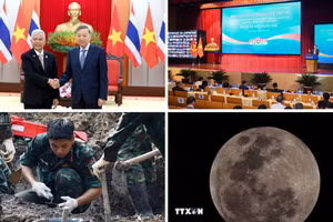 Tin tức nổi bật ngày 7/8: Tổng Bí thư, Chủ tịch nước Tô Lâm tiếp Chủ tịch Quốc hội kiêm Chủ tịch Hạ viện Vương quốc Thái Lan; Bế mạc Hội nghị Ngoại giao lần thứ 33