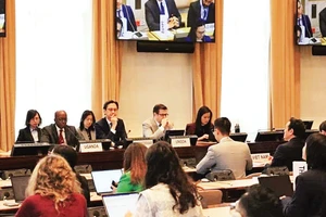 Việt Nam tổ chức tham vấn về Hội nghị kiểm điểm NPT lần thứ 11. (Ảnh: Phái đoàn Thường trực Việt Nam tại Liên hợp quốc)