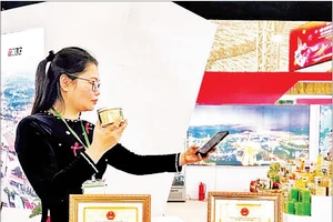 Sản phẩm OCOP chế biến từ cá hồ Thác Bà được giới thiệu tại hội chợ thương mại. (Ảnh MINH SƠN)