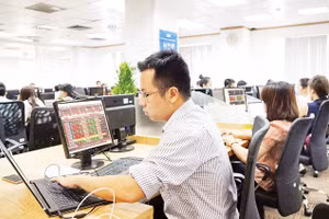 Nhà đầu tư theo dõi giao dịch trên thị trường chứng khoán. (Ảnh VIẾT CHUNG)