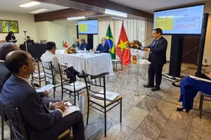 Đại sứ Bùi Văn Nghị phát biểu tại sự kiện. Ảnh: Đại sứ quán Việt Nam tại Brazil