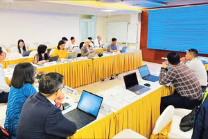 Buổi thảo luận về dự thảo Nghị định thi hành Luật Dân số của chuyên gia Bộ Y tế.