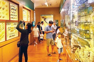 Khách tham quan Bảo tàng Thiên nhiên Việt Nam (Hà Nội).