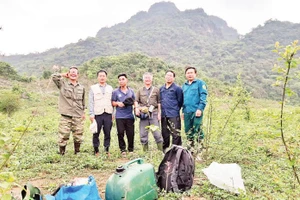 Nhóm tác giả khảo sát thực địa về các loài sinh vật hoang dã có nguy cơ bị đe dọa tuyệt chủng. (Ảnh QUANG TRƯỜNG)