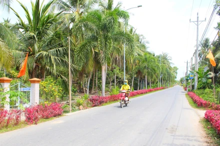 Tuyến đường giao thông của xã Trung Hiệp được trồng hoa, cây cảnh cảnh tạo cảnh quan sáng- xanh- sạch- đẹp cho vùng quê nông thôn. (Ảnh: TUYẾT NGA)