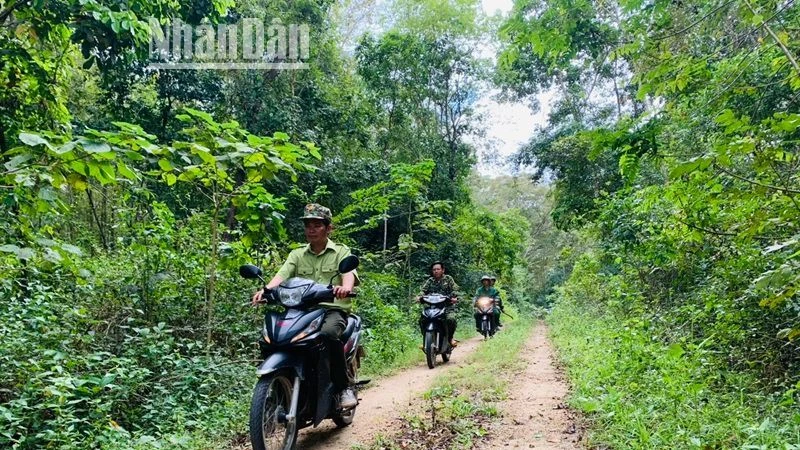 Lực lượng Kiểm lâm và quản lý, bảo vệ rừng Khu Bảo tồn thiên nhiên Ea Sô tuần tra, bảo vệ rừng.