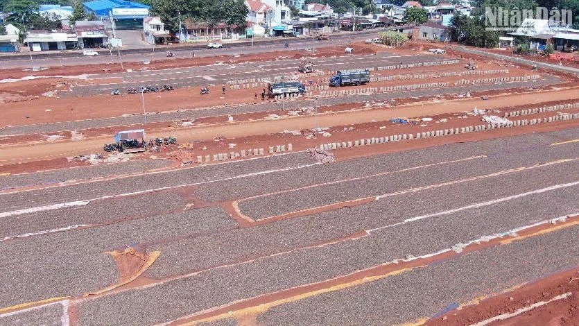 Doanh nghiệp tận dụng khoảng đất trống làm sân phơi điều.