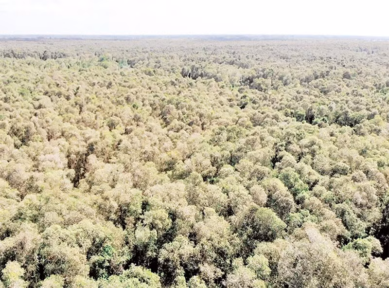 Khu bảo tồn thiên nhiên Lung Ngọc Hoàng.