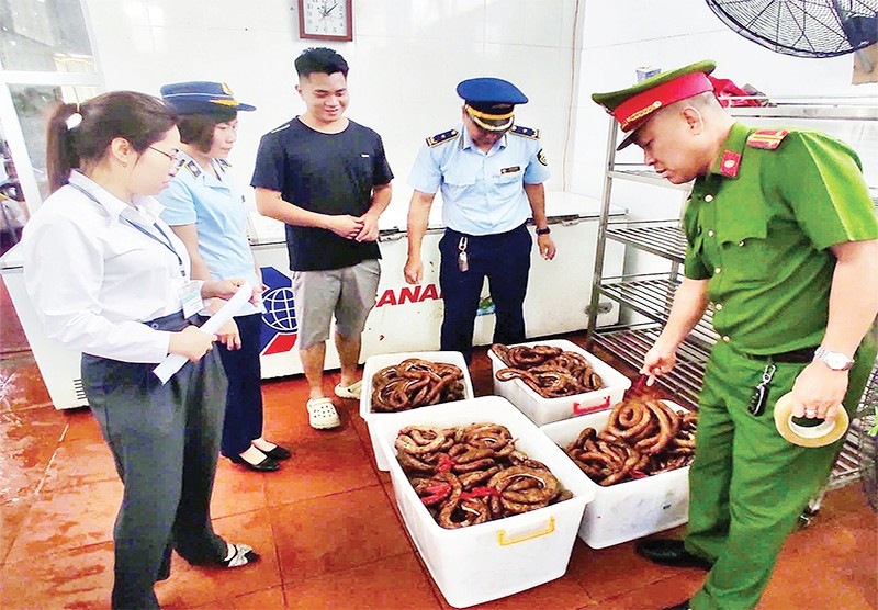 Lực lượng liên ngành kiểm tra hộ kinh doanh Trần Đức Lương ở phường Hà Phong, thành phố Hạ Long vi phạm bán thực phẩm đông lạnh không có nguồn gốc, xuất xứ.