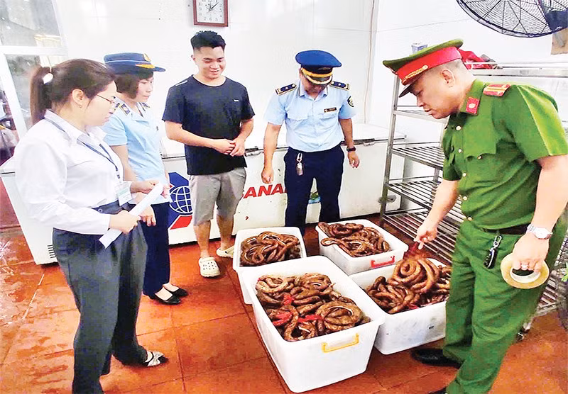 Lực lượng liên ngành kiểm tra hộ kinh doanh Trần Đức Lương ở phường Hà Phong, thành phố Hạ Long vi phạm bán thực phẩm đông lạnh không có nguồn gốc, xuất xứ.