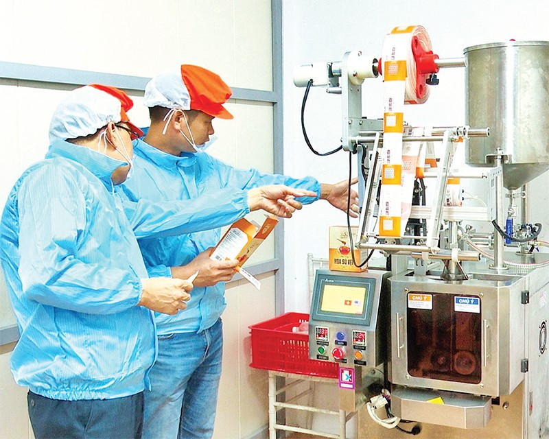 Kiểm tra tem truy xuất nguồn gốc trên dây chuyền đóng gói mật ong Ninh Bình.