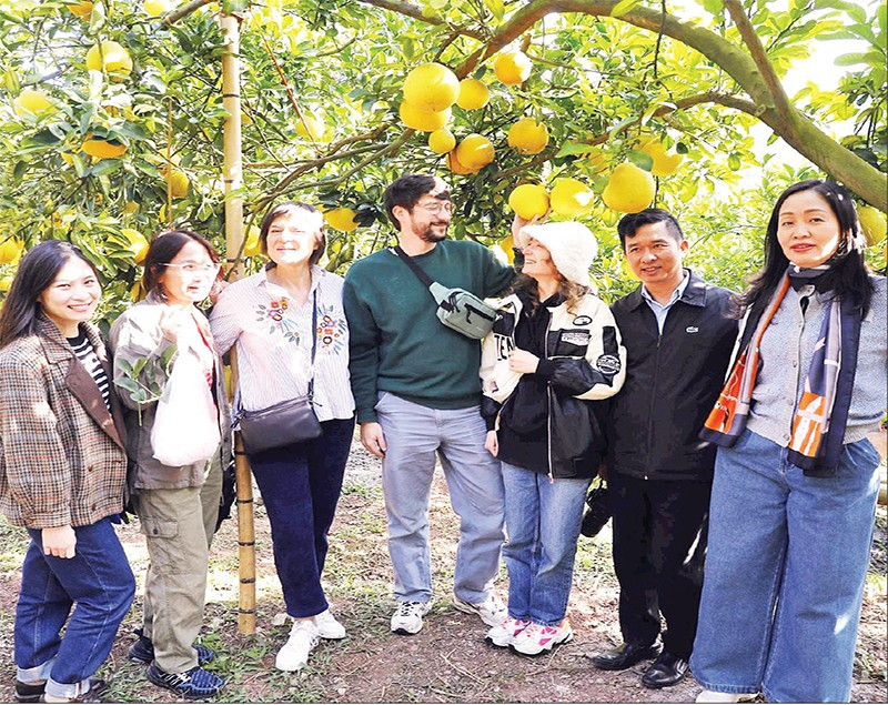 Du khách thích thú trải nghiệm tham quan, chụp ảnh mùa quả chín tại phường Chũ.